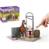 Bild von Schleich Sofia s Pferdewaschplatz