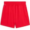Bild von Puma, Damen, Sporthose, teamGOAL Shorts Wmns (L), Rot
