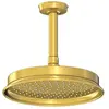 Bild von Steinberg, Duschbrause, Serie 350 Kopfbrauseset, rund, mit. Brausearm, Deckenmontage, 0