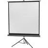 Bild von Celexon Leinwand (72.44", 1:1), Leinwand, Schwarz