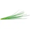 Bild von Click and Grow, Samen, Chives (Kräutersamen)