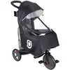 Bild von Globber, Kinderwagen Zubehör, EXPLORER TRIKE Regenschutz (schwarz/transparent)