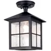 Bild von Elstead Lighting, Gartenbeleuchtung, Winchester Aussen-Deckenleuchte E27 28cm Schwarz IP43 (E27, IP43)