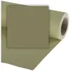 Bild von Colorama Hintergrundkarton 2.72 x 11m (272 cm), Hintergrundsystem, Grün