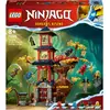 Bild von LEGO Tempel der Drachenpower (71795, LEGO Ninjago)