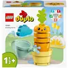 Bild von LEGO Wachsende Karotte (10981)