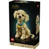 Bild von LEGO Golden Retriever Welpe (11384, LEGO Icons)