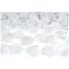 Bild von Partydeco Silberne Blütenblätter (100 Stck.) (100 Stk.)