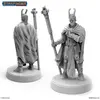 Bild von Archon Studio Masters of the Universe Miniatures: LASHUNTA PRIEST