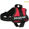 Bild von Julius-K9 Powergeschirr für kleinere Hunde ergonomisch (S, Hund, Allgemein), Halsband + Leine