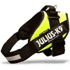 Bild von Julius-K9 IDC Geschirr für grössere Hunde ergonomisch (XL, Hund), Halsband + Leine