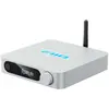 Bild von FiiO SR11 (Network Audio Player), HiFi Komponente, Silber
