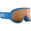 Bild von Poc, Skibrille