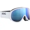Bild von Poc, Skibrille