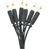Bild von Star Trading, Lichterkette, P-LED (2.85 m)