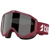 Bild von Bliz Liner Skibrille Smoke W Silver Mirror/CAT3