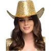 Bild von Boland Hut Rodeo Party