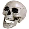 Bild von Fasnacht Schädel (1 Stk.)
