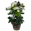 Bild von Mica Decorations, Kunstpflanzen, Künstliche Azalee Weiss im Topf (27 cm)