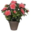 Bild von Mica Decorations, Kunstpflanzen, Dekorationspflanze (27 cm)