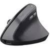 Bild von Trust Bayo Ll Kabellose Ergonomische Maus