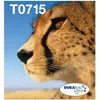 Bild von Epson, Druckerpatrone, T071 EasyMail (BK, C, M, Y)