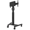 Bild von Neomounts Select Mobile Displaycbnt 75'' Tv-ständer Mit Rollen