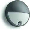 Bild von Philips, Gartenbeleuchtung, Capricorn IR (600 lm, IP44)