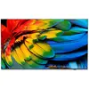 Bild von Philips Hotel-TV 50HFL6214U/12 50 (50", LCD, 4K), TV, Grau