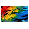 Bild von Philips Hotel-TV 58HFL6214U/12 58 (58", LCD, 4K), TV, Grau, Schwarz