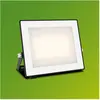 Bild von Philips, Fassadenbeleuchtung, Outdoor Flutlicht Lois (3200 lm, IP65)