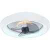 Bild von Globo Joey, Ventilator, Grau, Silber, Transparent, Weiss