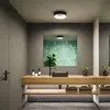 Bild von Paulmann HomeSpa Casca Deckenleuchte Ø30cm schwarz