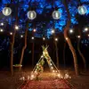 Bild von LED-Solar-Lichterkette CADENA, 2.500 K, schwarz 10-flg. 5 m