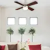 Bild von Westinghouse Colosseum Ventilator m. Licht