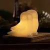 Bild von LED-Dekoleuchte Ellen Owl aus Wachs, 2er-Set