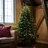 Bild von LED-Baum Anni mit Ständer, Höhe 180 cm