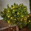 Bild von Dew Drop - Solar-Lichterkette 250 cm lang