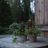Bild von LED-Solar-Dekoleuchte Izola mit Erdspieß 2er-Set