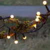 Bild von LED-Lichterkette Berry Mini mit Timerfunktion weiß