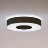 Bild von Philips Hue Infuse LED-Deckenleuchte, 38,1cm, schwarz, dim.