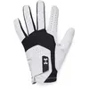 Bild von Golfhandschuhe Under Armour Iso-Chill Schwarz LLG