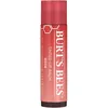 Bild von Burt's Bees Lip Balm Rose 4.25 g
