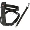 Bild von DOGGURT Sicherheitsgurt - Nylon Brustgeschirr und einer Nylon Halteschlaufe 1 ct