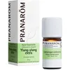 Bild von Pranarôm Ätherisches Öl Ylang-Ylang Extra (Cananga odorata) 72.9 cm