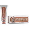 Bild von INGWER MINT Zahnpasta 25 ml 25 g