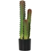 Bild von HOMCOM Künstlicher Kaktus 66 cm, Dekorative Kakteepflanze mit Topf und 3 Blättern, zur Innendekoration, Zuhause, Büro, Wohnzimmer, Grün Aosom