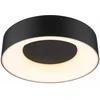 Bild von Led-Deckenlampe Paulmann Casca IP44 White Switch 230V 1500lm 16 W