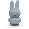 Bild von Sparschwein miffy warm Atelier Pierre Junior 19 cm TU