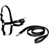 Bild von Nayeco Easy Walk Hundegeschirr L